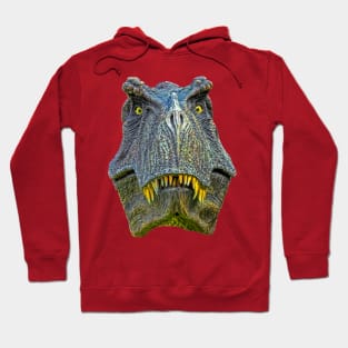 Grumpy T Rex Hoodie